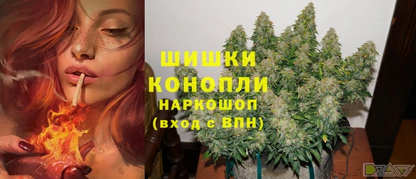 дживик Баксан
