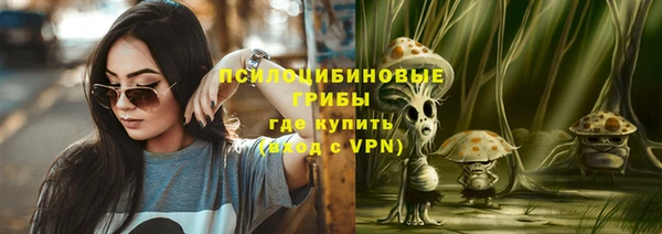 дживик Армянск