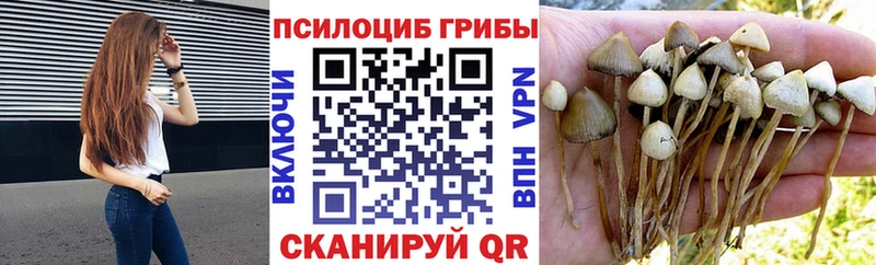 Псилоцибиновые грибы мицелий  omg сайт  Верея 